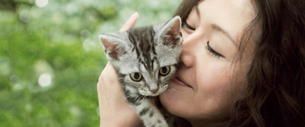 봄 & 고양이, 고양이를 부탁해 대표 이미지